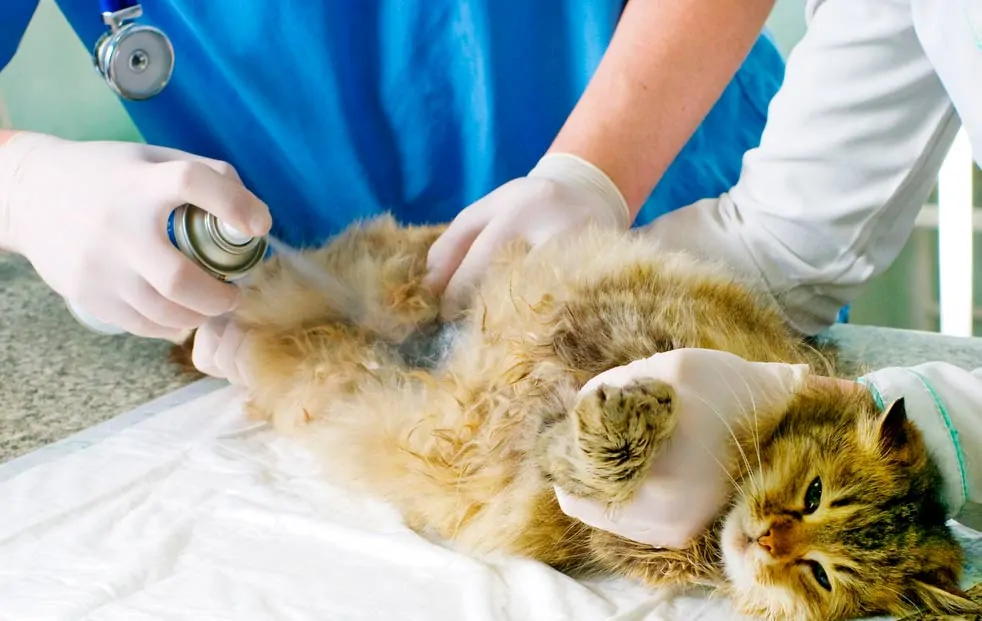 ustanovka smesitelya